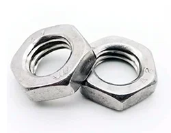 Stainless Steel 316_316L Hexagon Thin Nuts